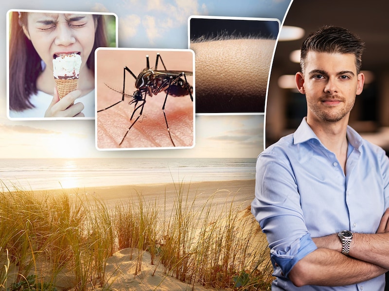 Waarom prikken muggen altijd mij? En mag je echt niet zwemmen na het eten? HLN-wetenschapsexpert beantwoordt 5 zomerse vragen