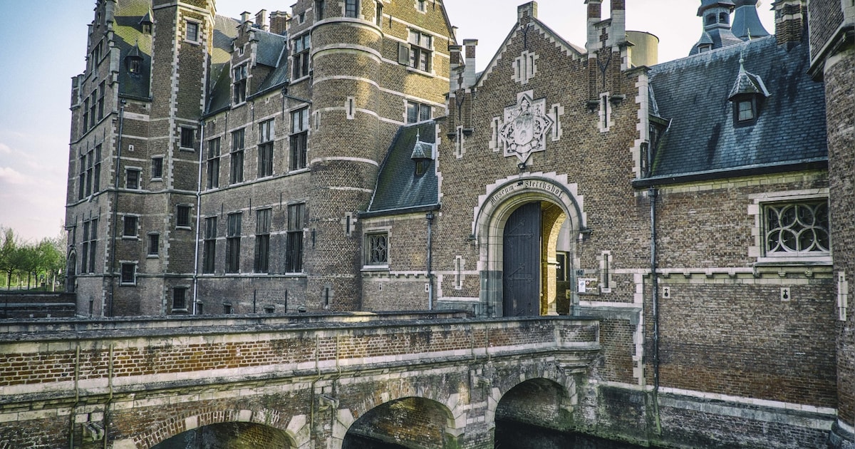 Van ondergronds popartmuseum over horeca tot gastenkamers: nieuwe eigenaars Sterckshof onthullen amb