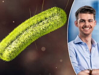 Europees rapport waarschuwt voor opkomst ziektes overgedragen door dieren: "Nog nooit zoveel gevallen van listeriose in bijna 20 jaar tijd”