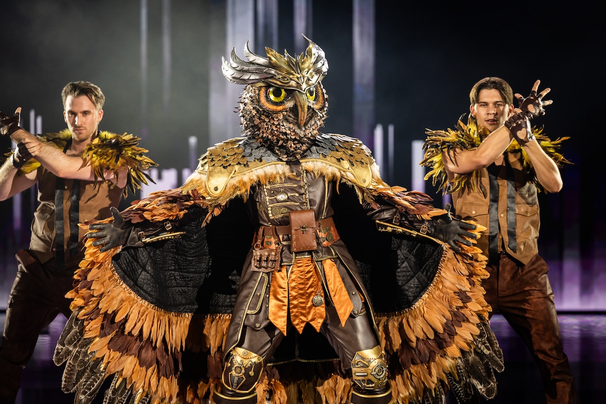 Einde verhaal voor Oehoe in 'The Masked Singer': “Het doet wel een beetje  pijn” | TV | HLN.be