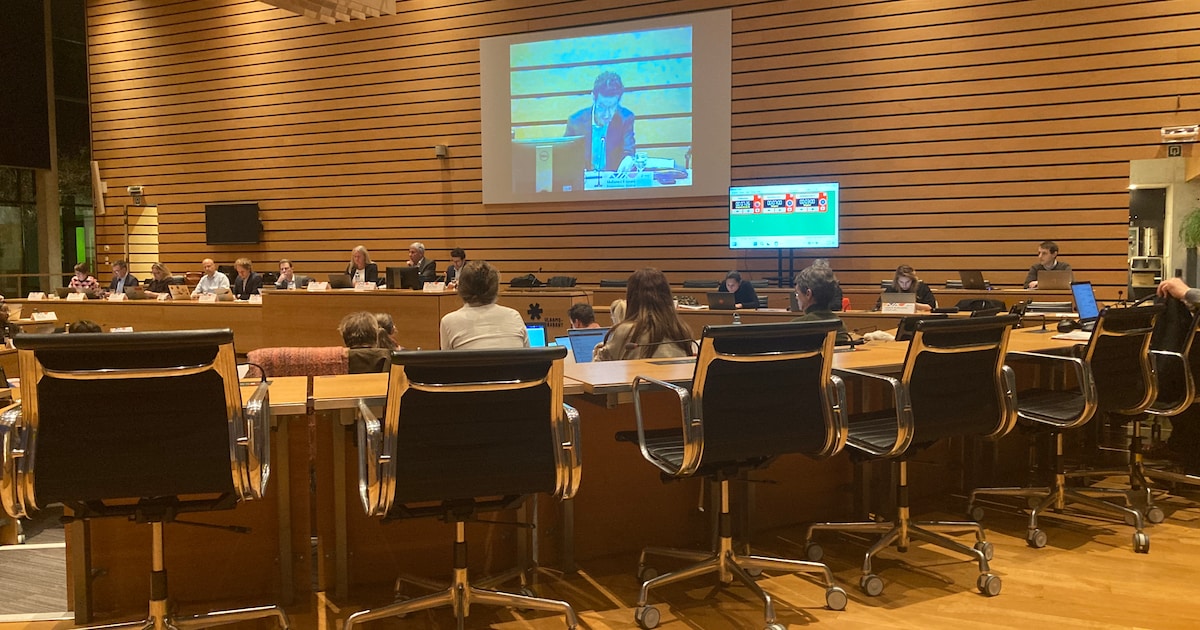 N-VA Leuven kritisch voor masterplan handel tijdens gemeenteraad over meerjarenplanning: “Wat meteen