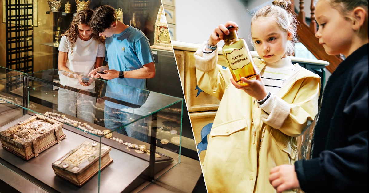 Deze 11 musea in Limburg zijn een bezoekje waard: van oude medicijnen tot archeologie