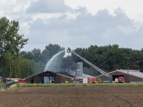 Een leegstaande loods van een kippenkwekerij in Gottem (Deinze) is uitgebrand