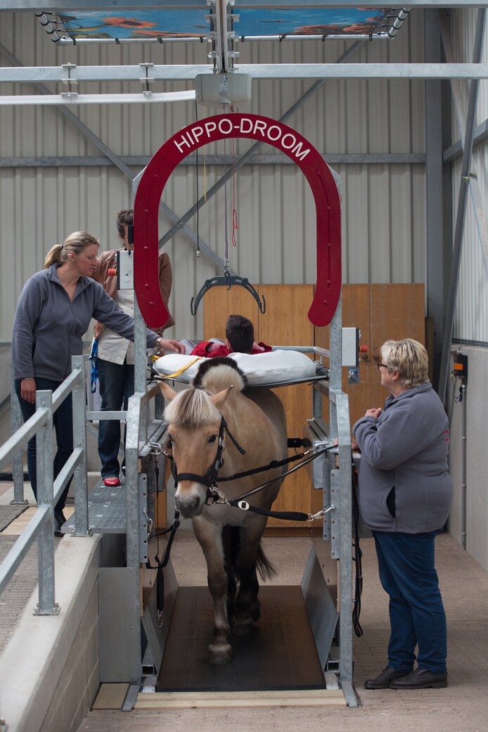 Ritje te paard op loopband | Nieuws | hln.be