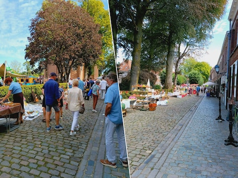 De brocantemarkt lokte heel wat volk naar het Turnhoutse Begijnhof.