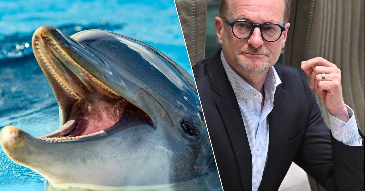 Dolfijnen in Pairi Daiza? “Dieren overzetten van bassin naar bassin geen winst voor dierenwelzijn”, 