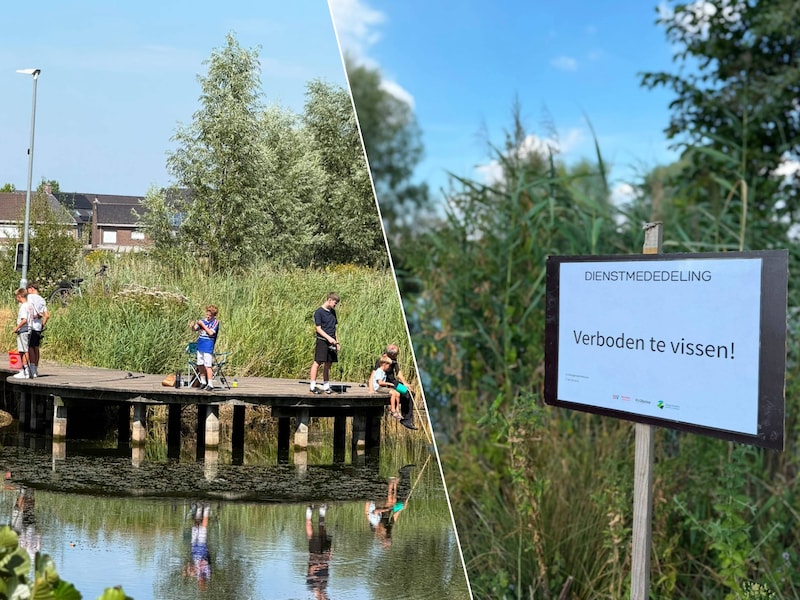 Vissers verontwaardigd nadat plots verbodsbord aan blusvijver verschijnt: volgens gemeente gaat het om vergissing