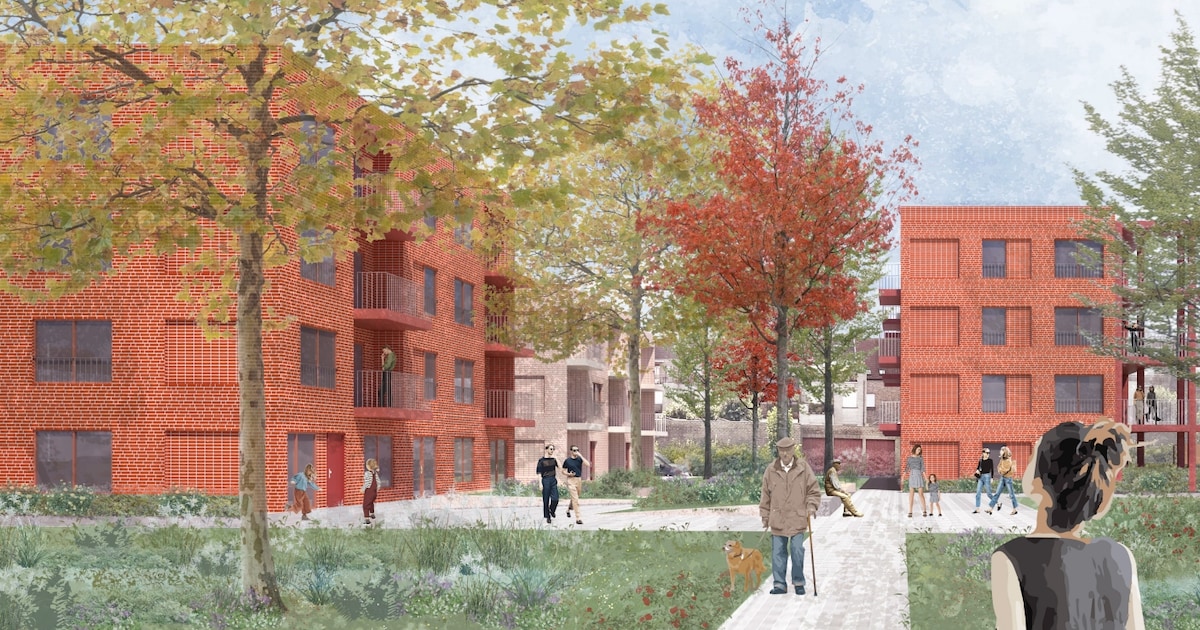Groen licht voor sociale woonproject aan Uitbreidingsstraat, maar ...