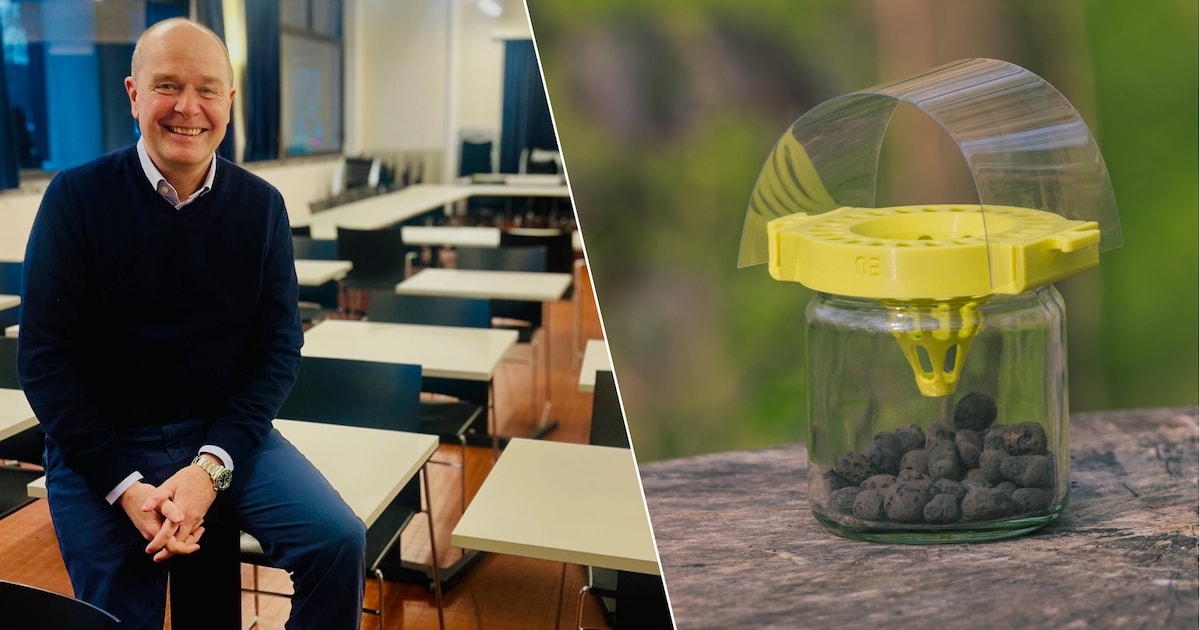 Stad Oostende deelt 60 'lentevallen' uit aan inwoners die willen helpen in de strijd tegen Aziatisch