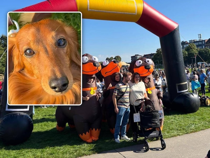 Zo’n 1.500 teckels en hun baasjes verzamelden in Park Spoor Noord in Antwerpen om de tocht door de stad te starten.