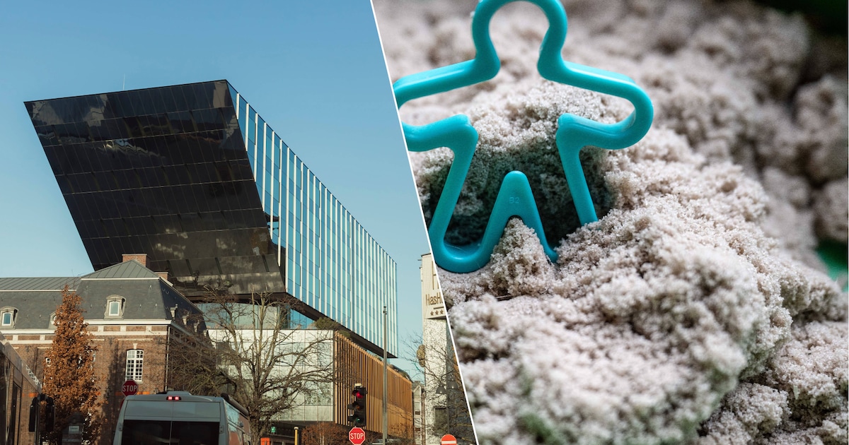 Hasselt sluit zandbakken in stedelijke scholen en kinderopvang na nationale asbestwaarschuwing: “Voo