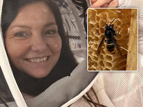 Lara Straetemans van ‘Wespé by Lara’ heeft het nest Aziatische hoornaars (inzet) kunnen vinden.