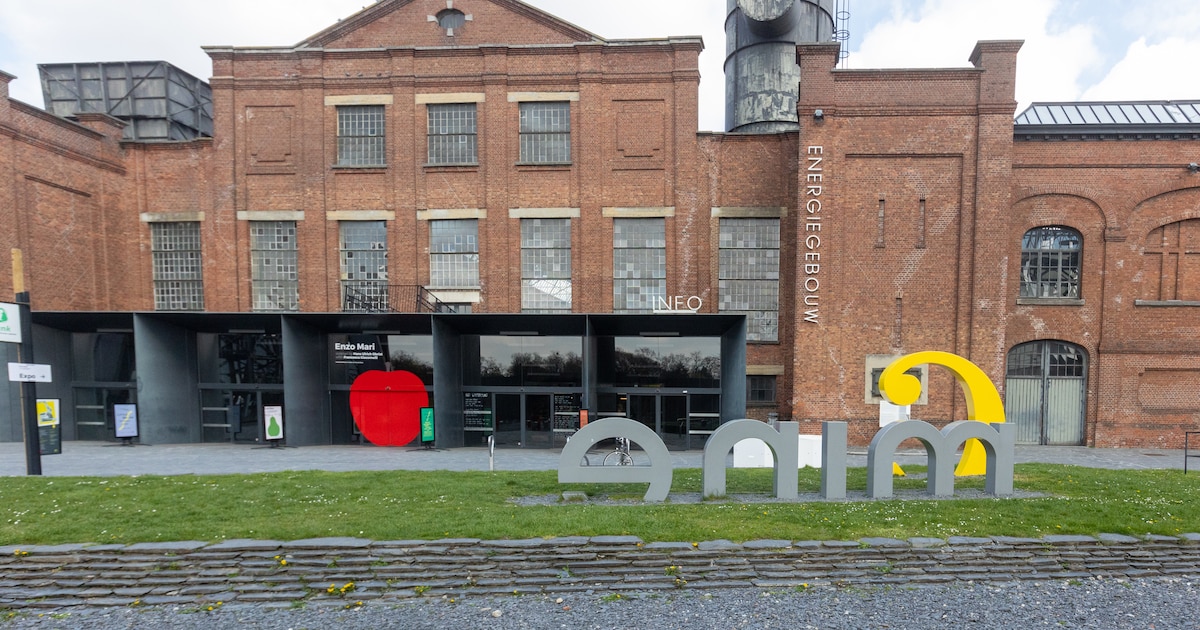 Van C-mine tot nieuw kunstenhuis: Genk en Hasselt trekken samen de cultuurkaart van Limburg