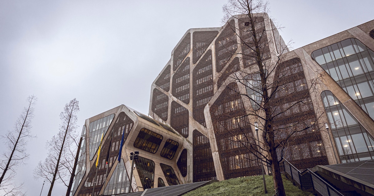 Twintiger smokkelt ‘hele farmacie’ de gevangenis binnen: “Hij heeft al heel veel kansen gekregen van