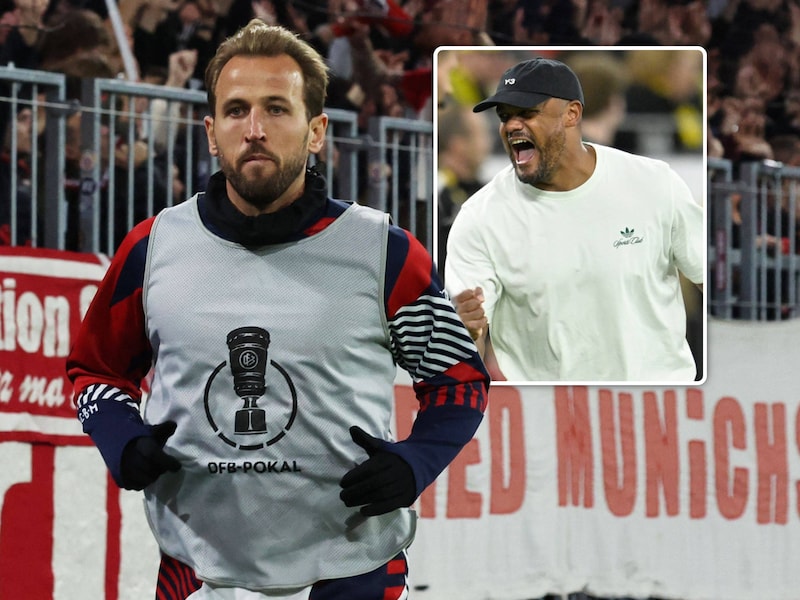 Harry Kane en Vincent Kompany.