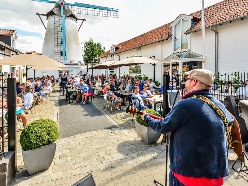 Wat te doen in Zuid-West-Vlaanderen dit weekend: van mini-raceauto’s in Roeselare over een muzikale zondag in Wervik tot de fandag bij KVK in Kortrijk