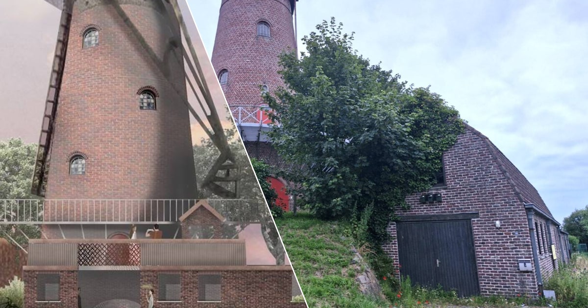 Historische Plaatsmolen in Pittem krijgt eindelijk een facelift ...
