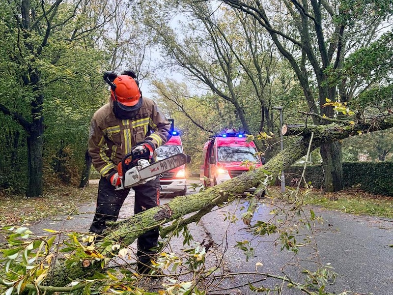 Brandweer Fluvia in de weer om een omvergewaaide boom stuk te zagen