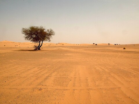 Sahara woestijn in Zuid-Algerije