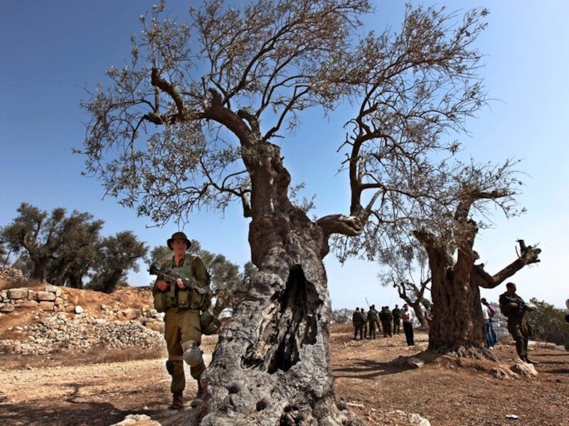 Israëlische soldaten houden nabij Hebron actievoerders tegen die Palestijnse boeren willen helpen bij de olijvenpluk.