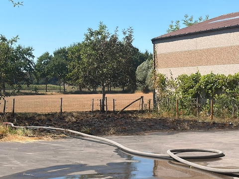 Enkele tientallen meter vegetatie bij boerderij gaat in vlammen op.
