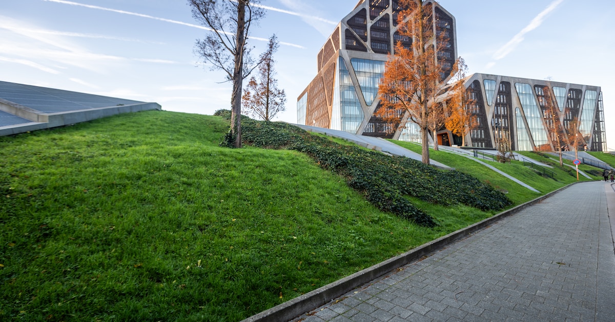 “Ik wil één kans om alles opnieuw te doen”: 23-jarige met waanzinnige lijst aan verkeersfeiten vraag