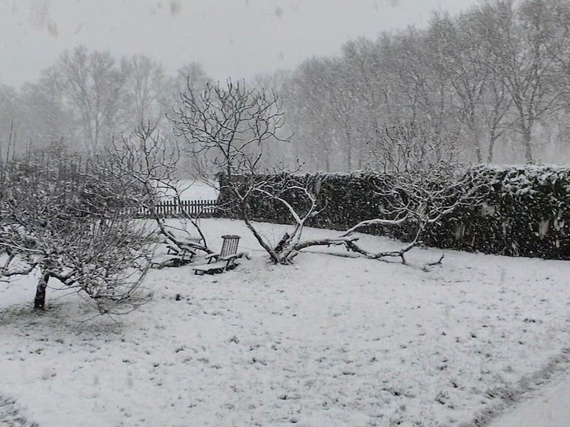 Sneeuwval in Meerhout levert prachtige beelden op