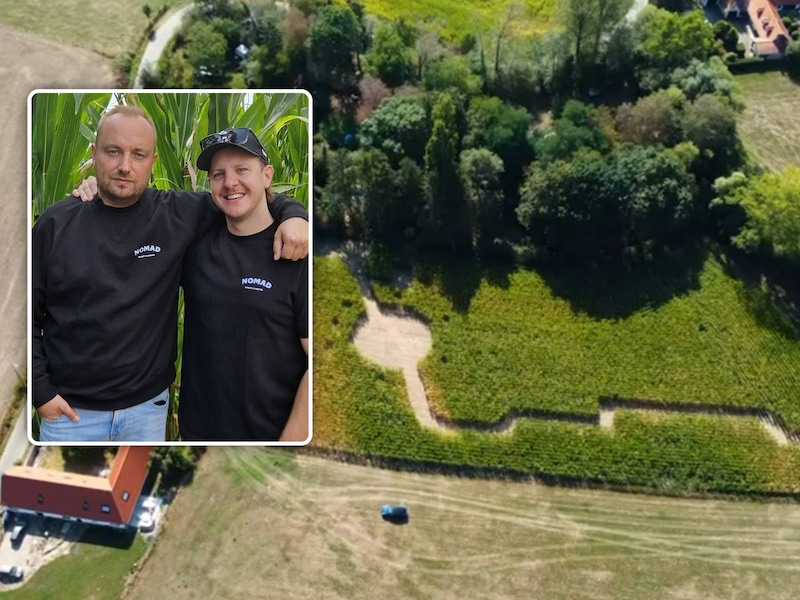 Vrienden organiseren rave in maïsveld waar ufo lijkt geland: “Acht uur met de hand gewerkt, maar dit wordt legendarisch”