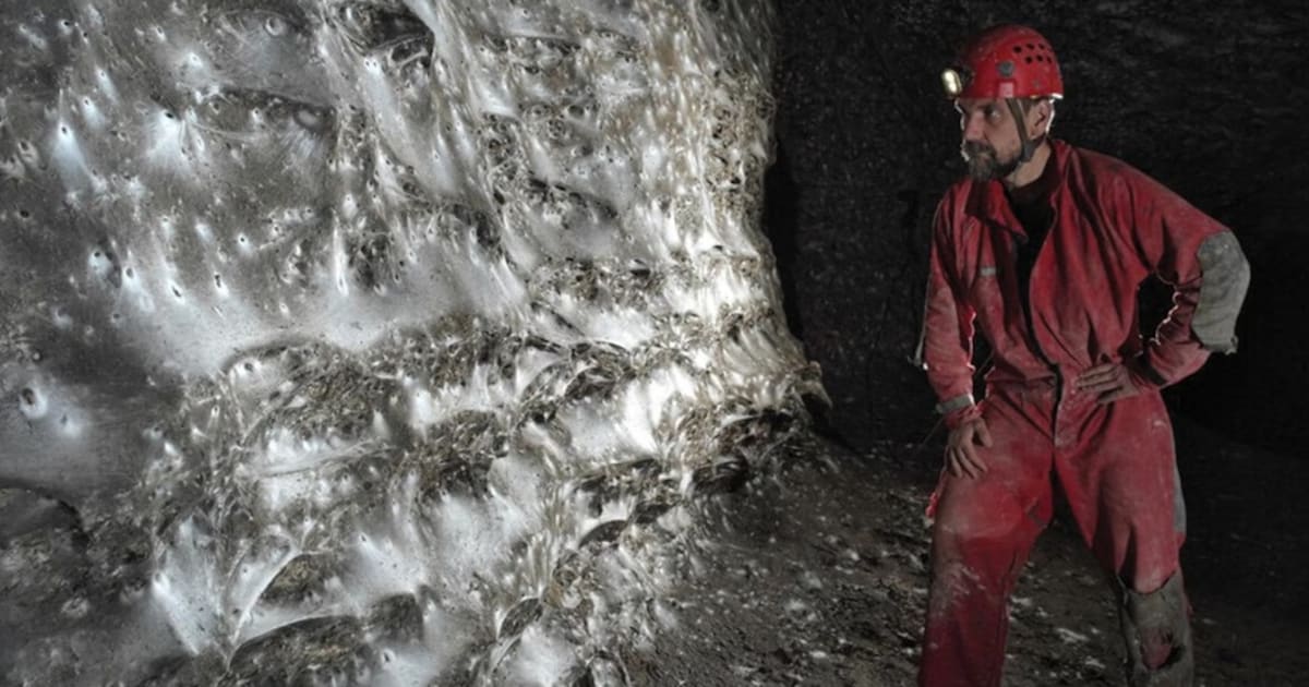 KIJK. Spinnenhaters, kijk weg! Wetenschappers hebben vermoedelijk het grootste web ter wereld gevond