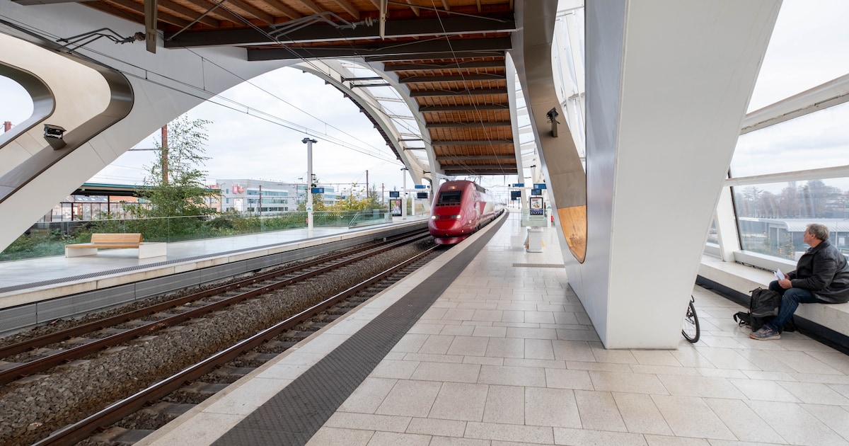 Mechelen in verweer tegen schrappen treinen: “Zou zeer wrang zijn ...