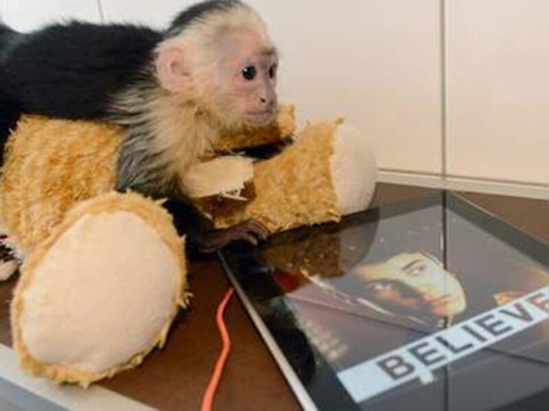 Mally in het asiel in München