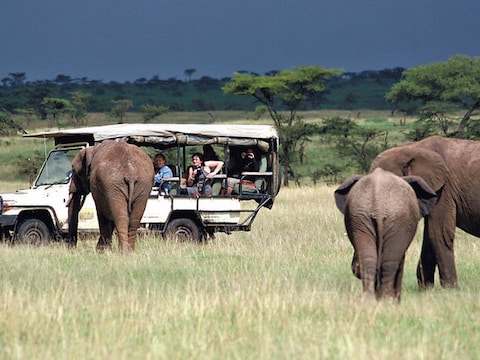 In het wildreservaat Masai Mara naderen de olifanten tot op oogafstand.