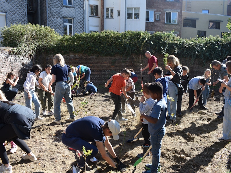300 bomen en struiken voor nieuw speelbos op school in Schaarbeek.