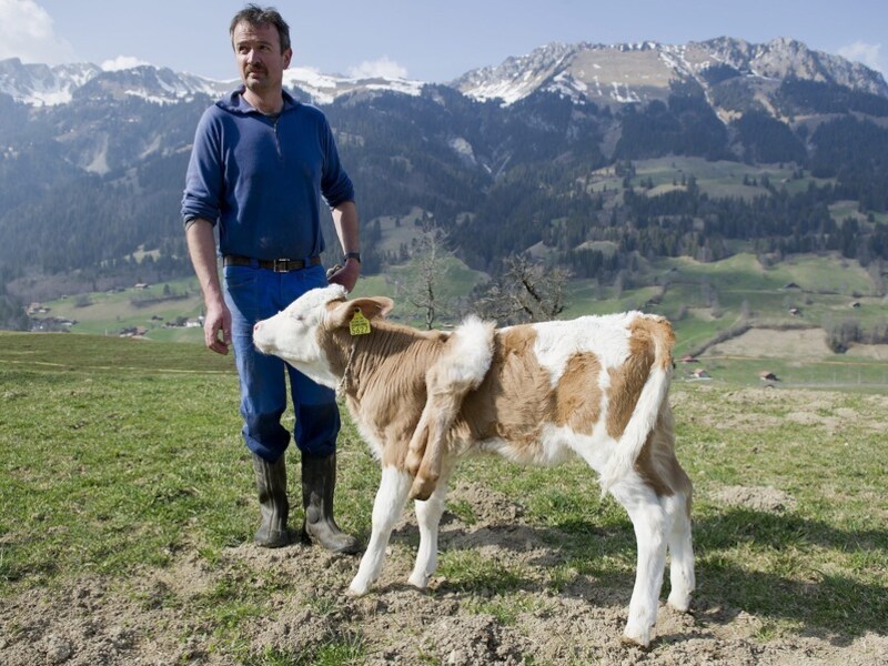 Boer Andreas en zijn oogappel Lilli.
