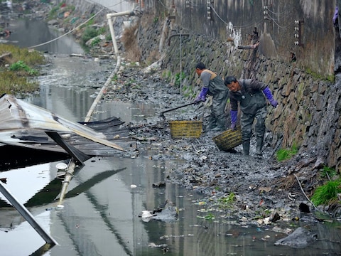 De directeur van de lokale milieudienst krijgt 24.000 euro voor een duik in deze rivier.