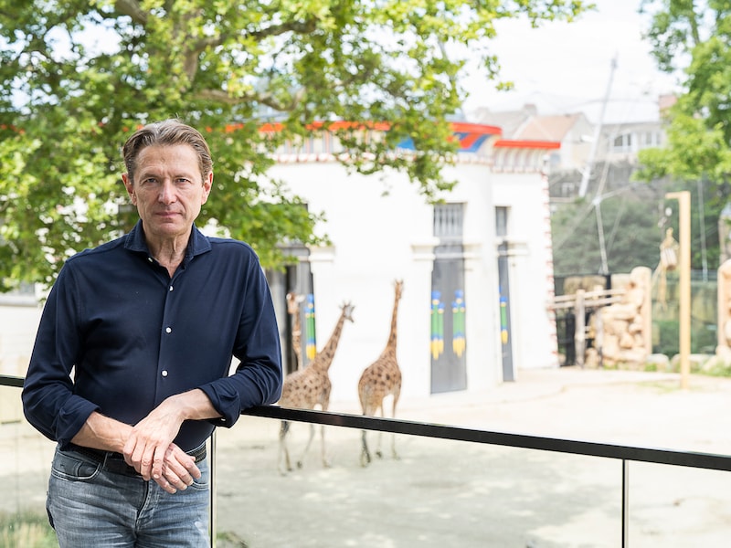 Dries Herpoelaert in ZOO Antwerpen.