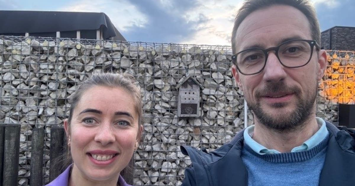 Oppositie wil snellere aanpak van Aziatische hoornaar: “Uitdelen van vallen blijft uit”