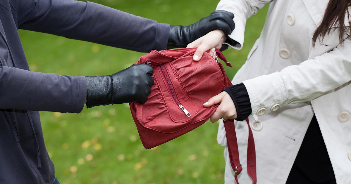 Tweetal veroordeeld voor diefstal van handtassen in Mechelen: “Ze kwamen bewust naar België om diefs