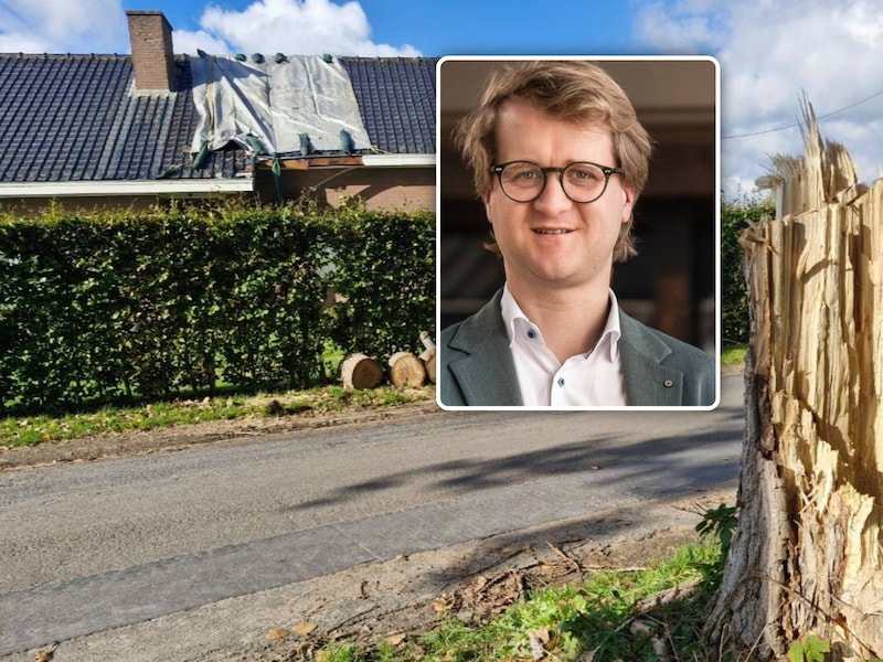De stronk van de omgewaaide boom in de Krommekeerstraat. Cultuur-en erfgoedschepen Brecht Warnez reageert op de heisa over de bomenkap.