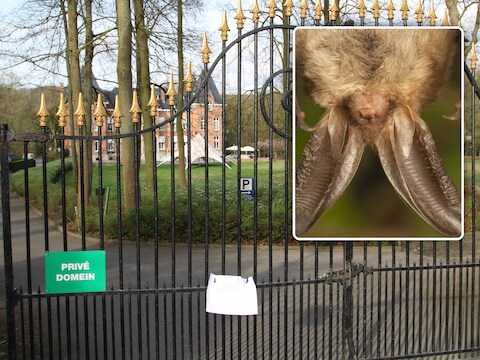 Kasteel Gravenhof in Beersel, een van de locaties waar tijdens de Nacht van de Vleermuis naar vleermuizen wordt gezocht.
