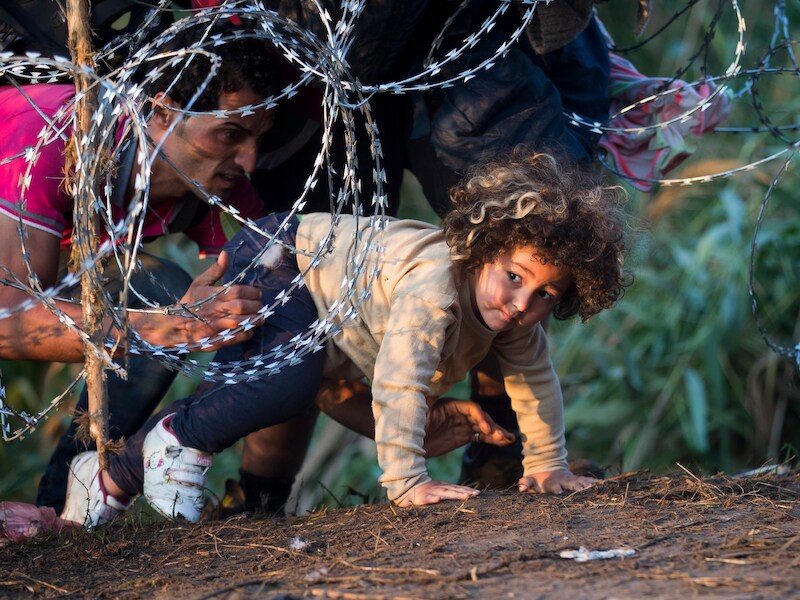 Vluchtelingen steken de grens tussen Servië en Hongarije over, archiefbeeld van augustus 2015.
