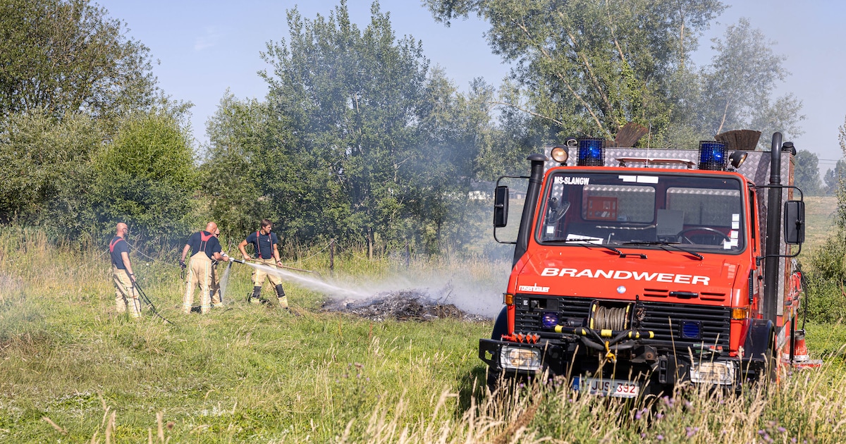 Verbranden van houtafval veroorzaakt weidebrand: “We hadden nochtans kuilen gevuld met water”