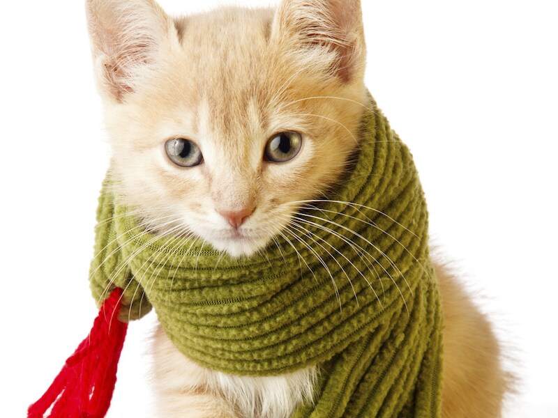 © Thinkstock.