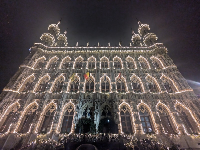 Stad Leuven zit op koers om tegen 2030 alle openbare verlichting om te zetten naar led.