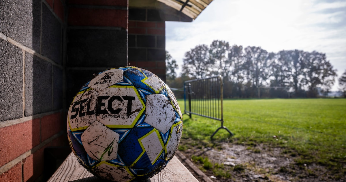 Hoogstraten stunt tegen leider Hasselt in eerste afdeling: belangrijke zege voor Diegem onderin