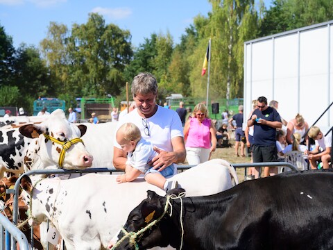 Een jaarlijks hoogtepunt van de feesten: de veeprijskamp in Pulderbos (Zandhoven)