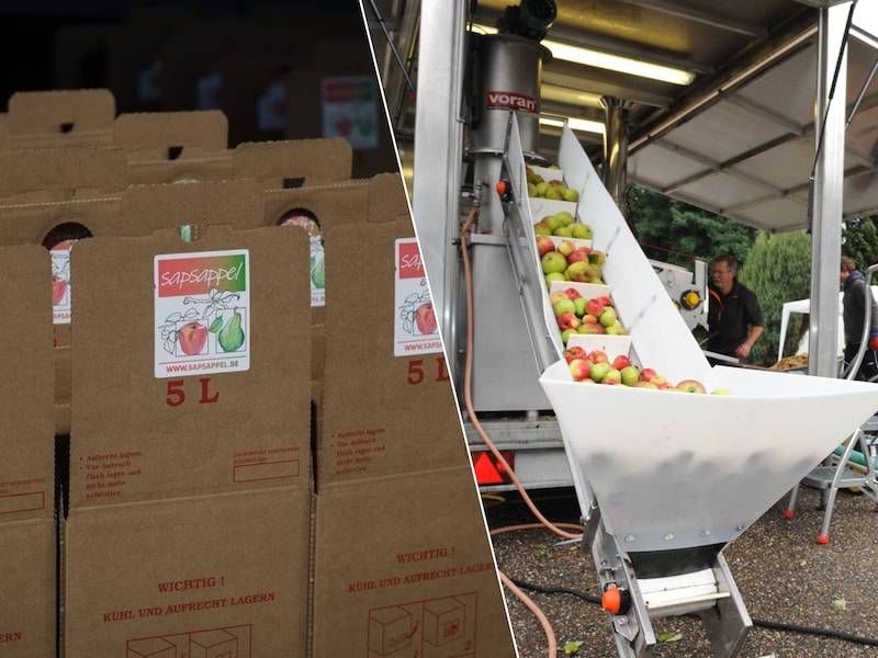 Laat je tuin-oogst niet rotten op het gazon: mobiele fruitpers tovert appels en peren om tot vers sap in Mol