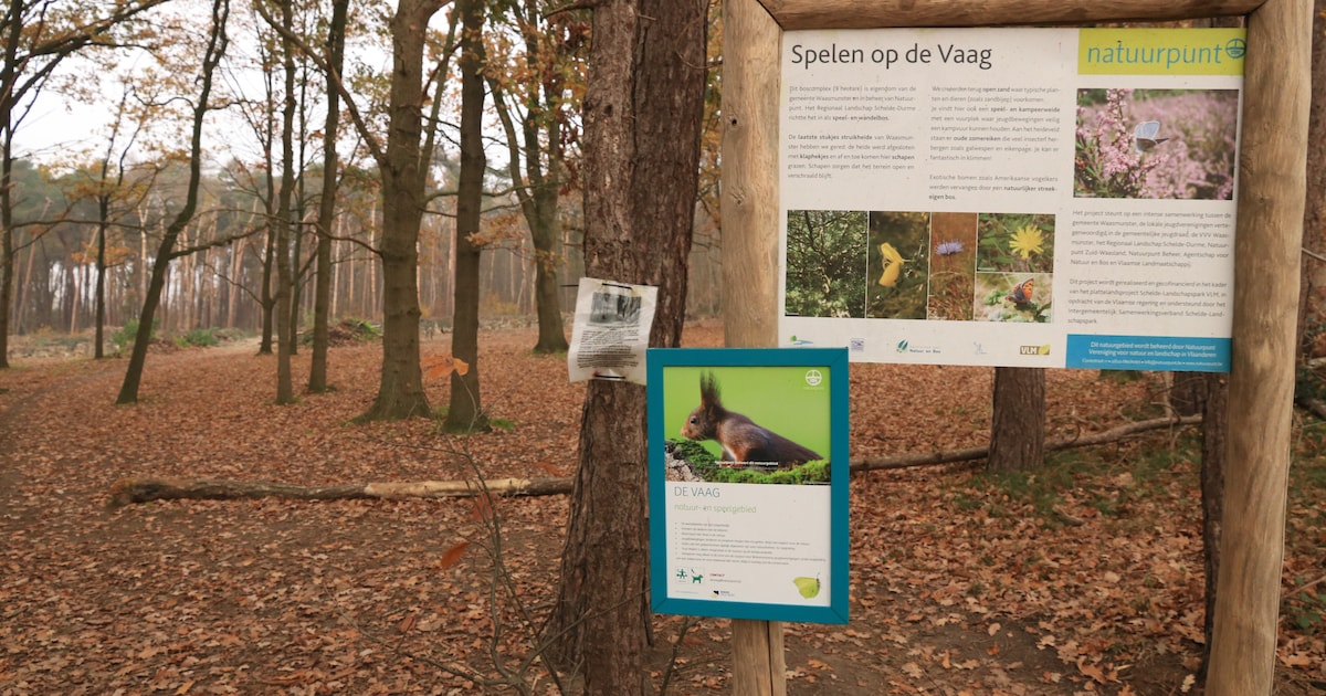 Bosfeest aan De Vaag in Waasmunster trapt Week van het Bos af | Regio ...