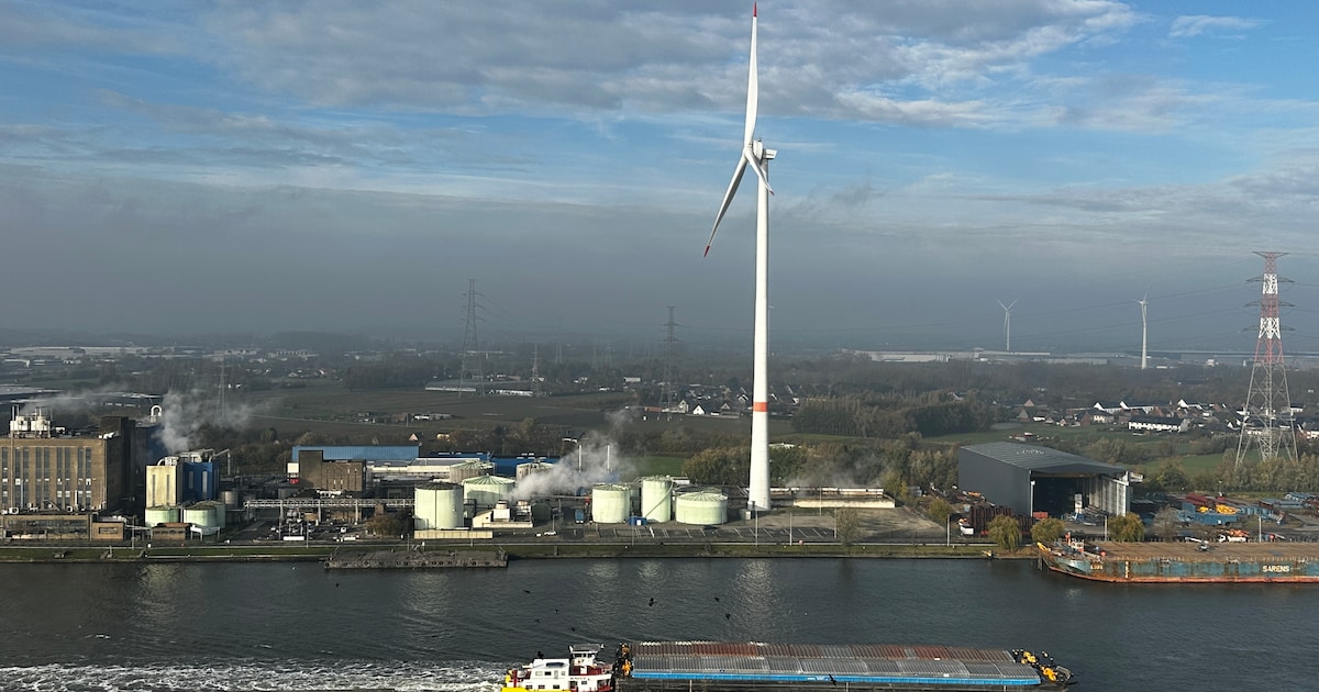 Snelle busverbinding Dampoort–Terneuzen mogelijk vanaf december: “Reistijd voor buurtbewoners en hav