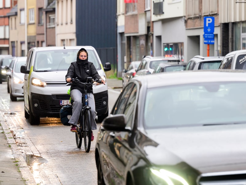 Werken in Antwerpsestraat en Albertstraat: verkeer richting Schelle wordt omgeleid